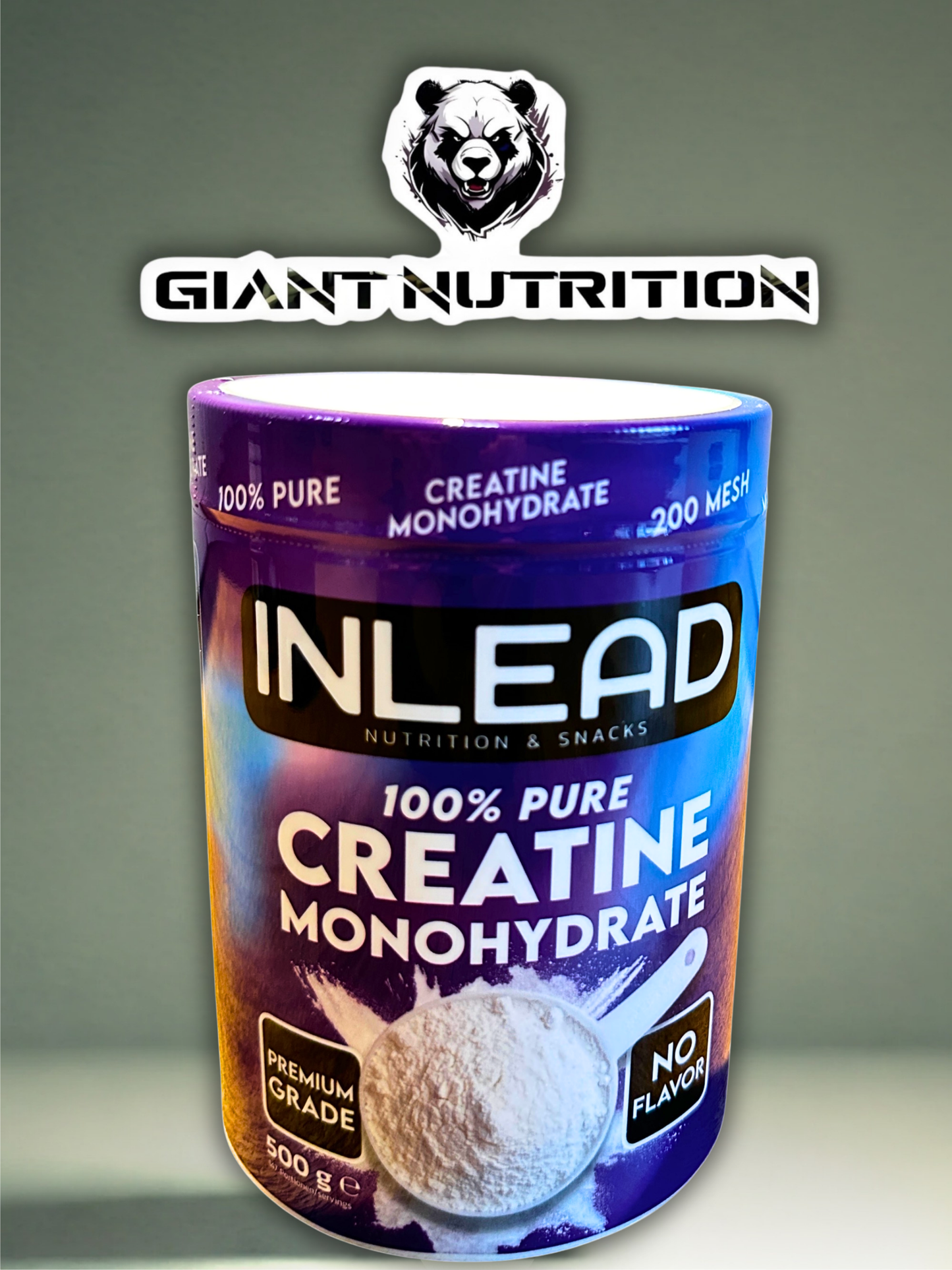 Inlead Creatine Monohydrate 500 g | Giant Nutrition