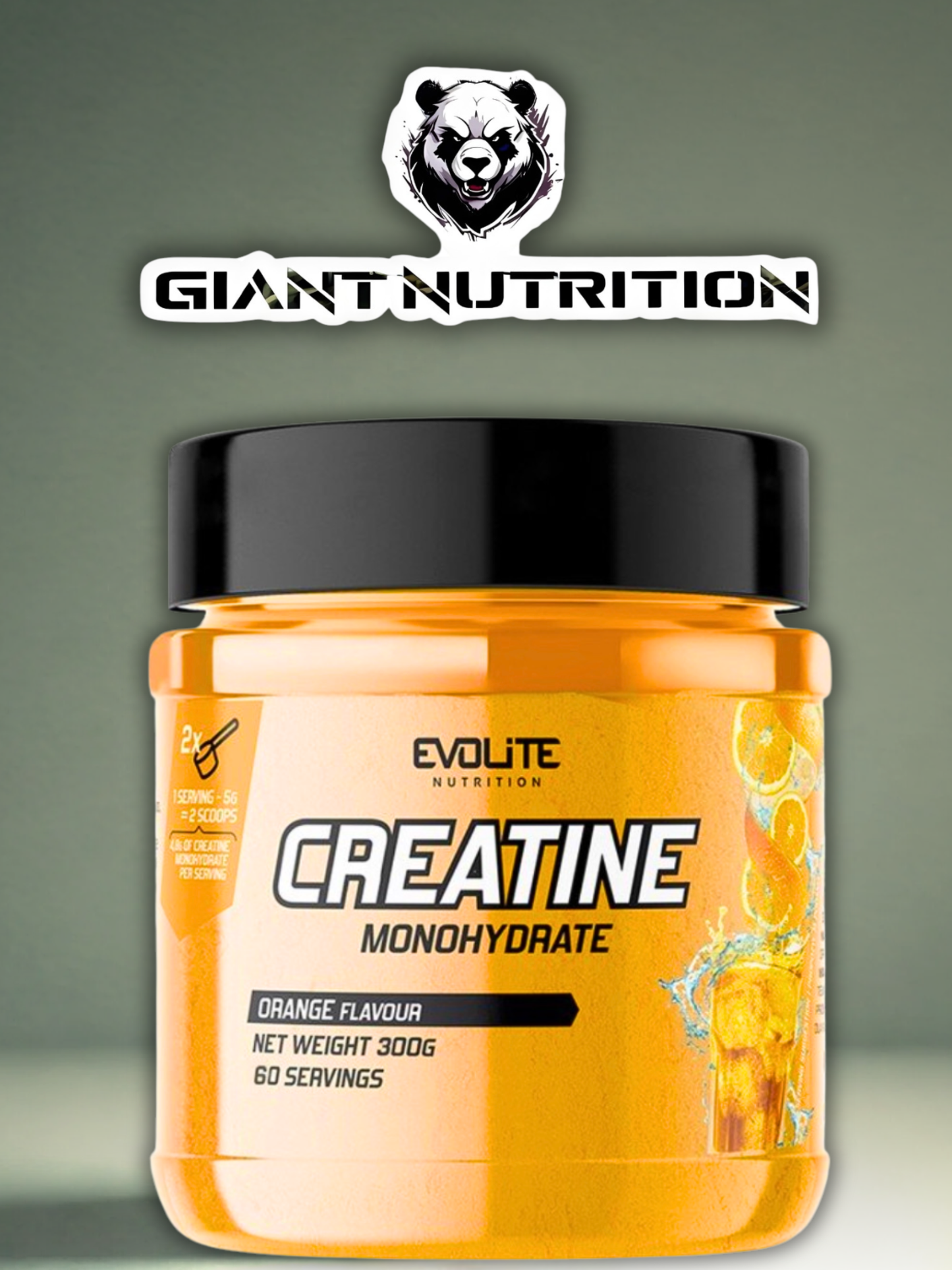 Evolite Nutrition Creatine Monohydrate | Giant Nutrition