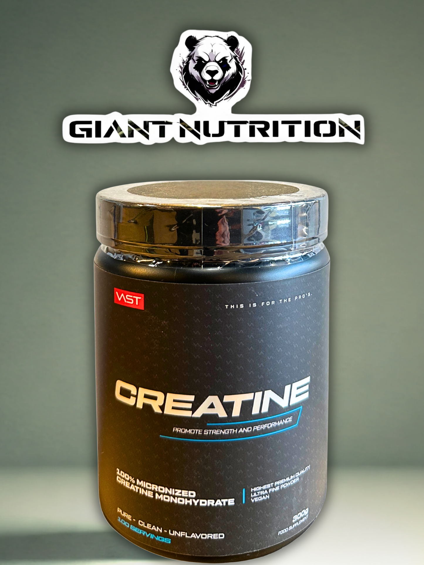 VAST Creatine 300 g | Giant Nutrition