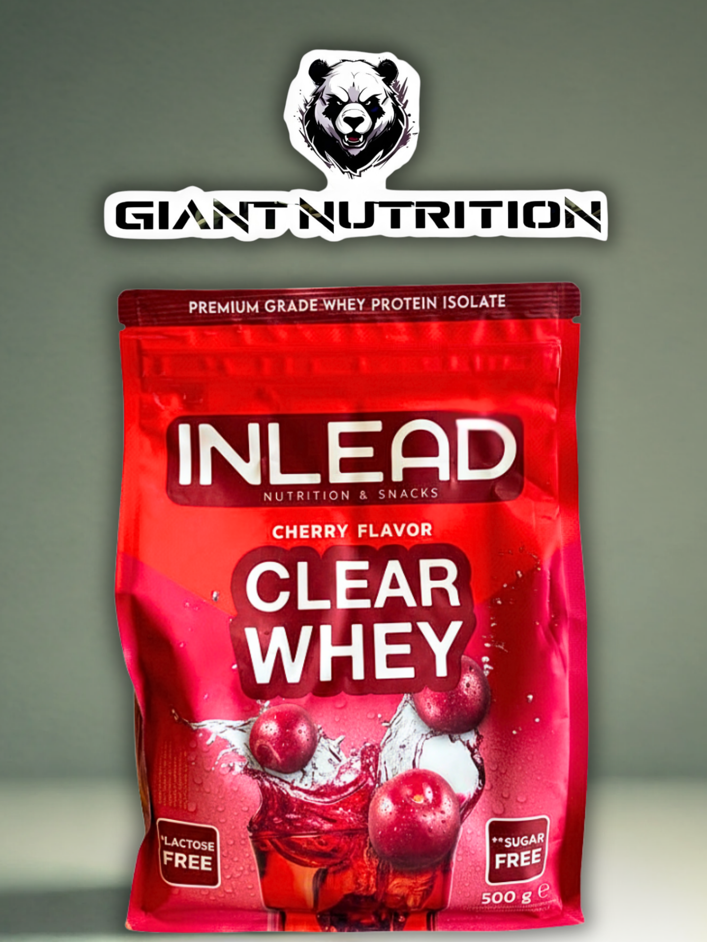 INLEAD Clear Whey 500 g | Giant Nutrition