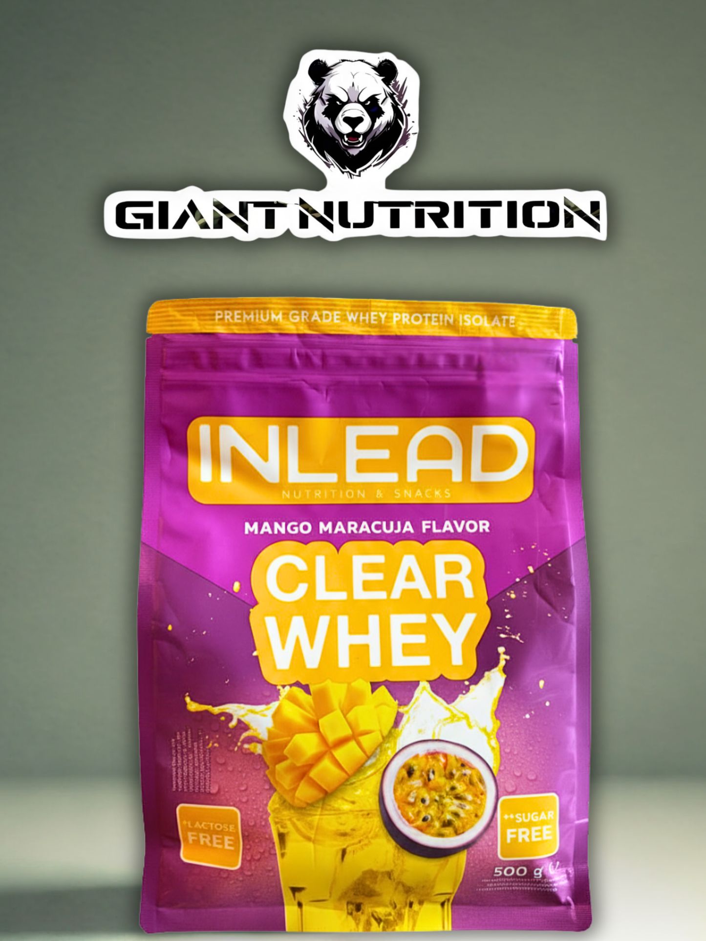 INLEAD Clear Whey 500 g | Giant Nutrition